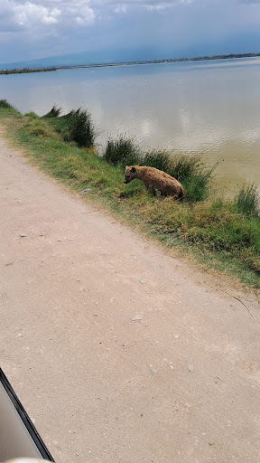 Photo from customer review