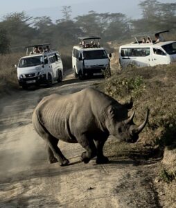 3 Days Maasai Mara Luxury Private Safari