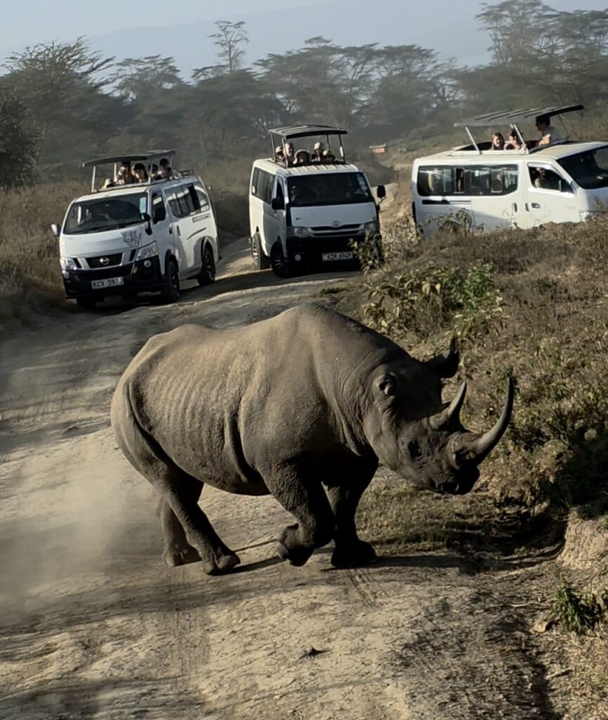 3 Days Maasai Mara Luxury Private Safari