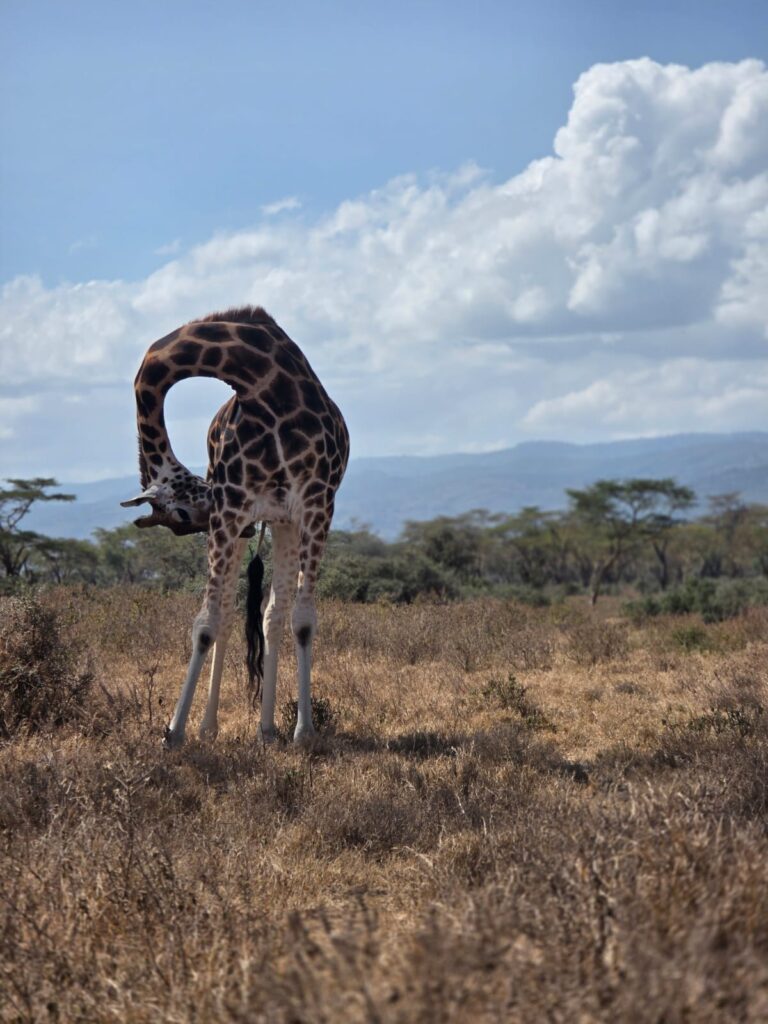 6 Days Kenya Luxury Adventure